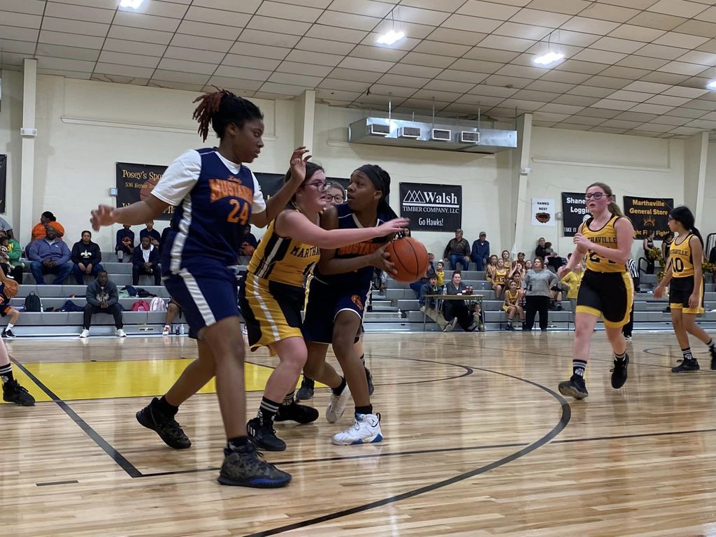 NMS Basketball Game vs NJH 2022